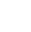 ASSALON PROJECT [LOGO]